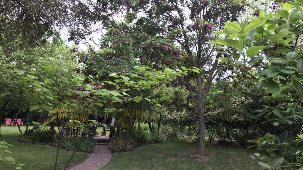 Photo of Outdoor in Ashland