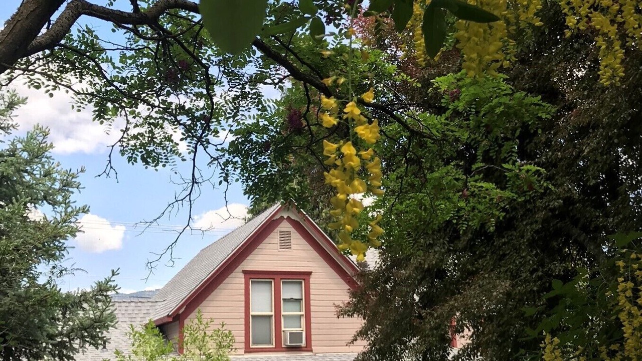 Photo of Outdoor in Ashland