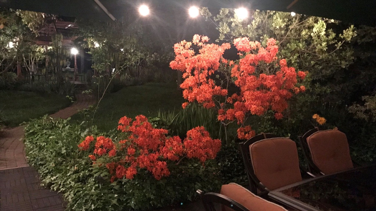 Photo of Outdoor in Ashland