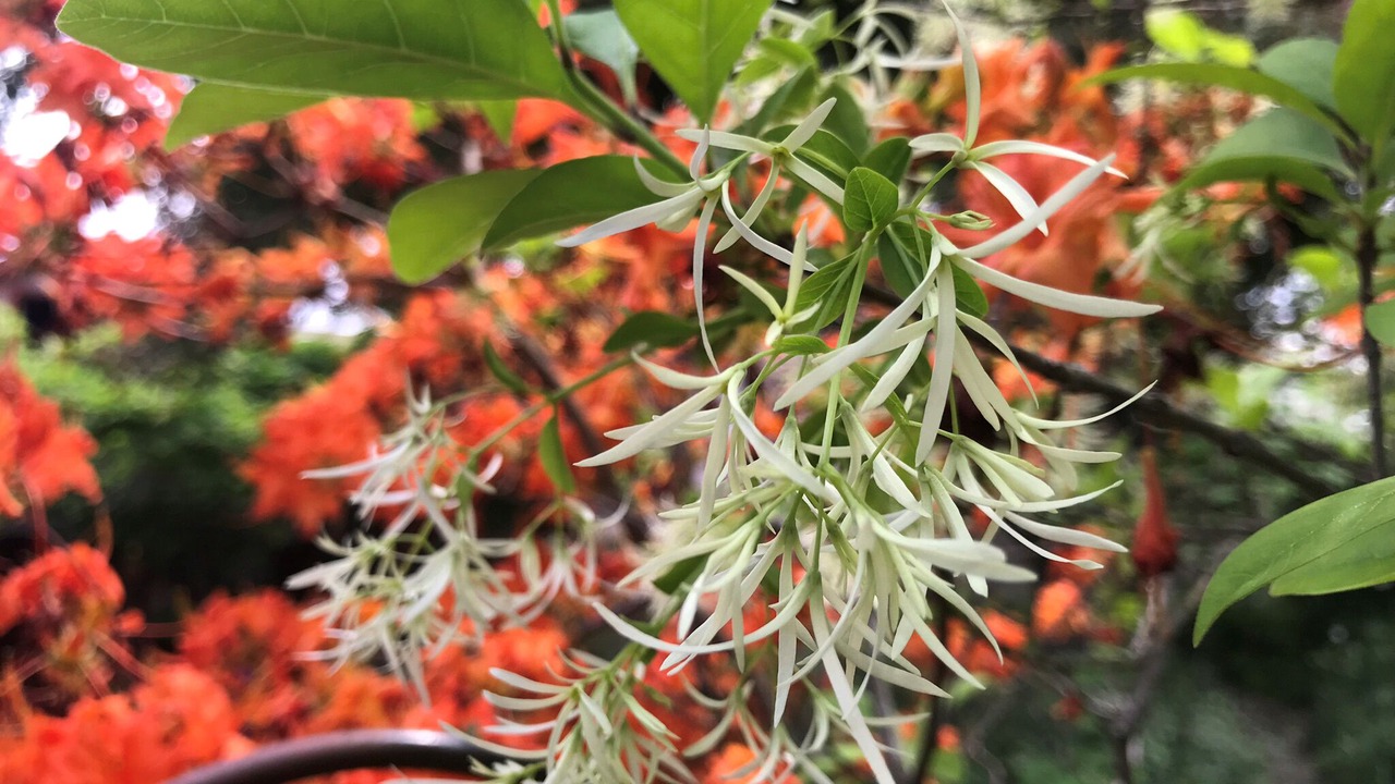 Photo of Outdoor in Ashland