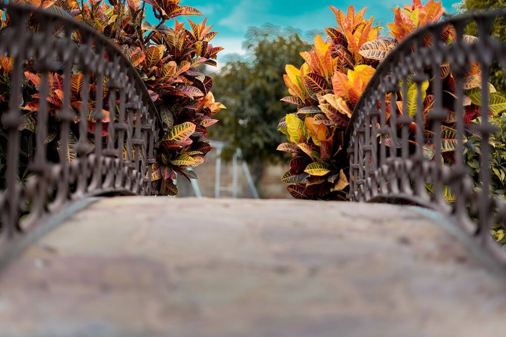 Photo of Outdoor in Cuernavaca