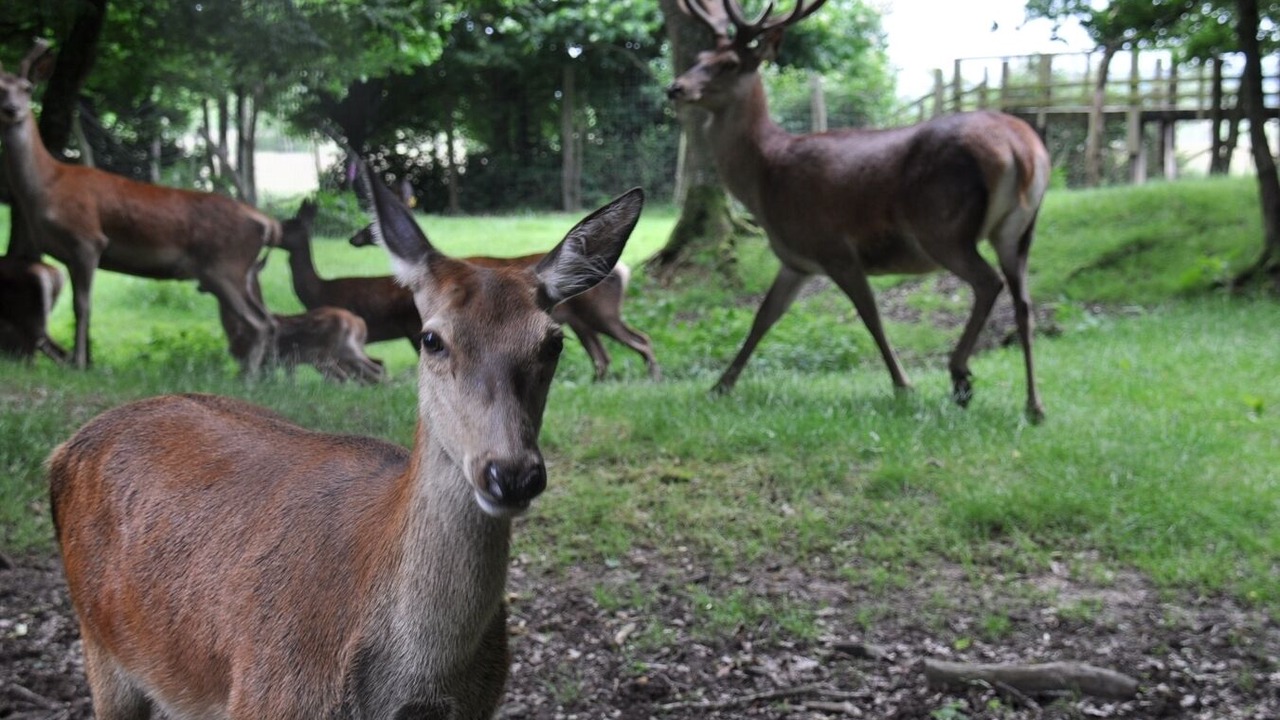 Photo of Outdoor in Meauce