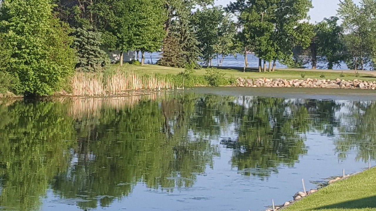 Photo of Others in Lake View