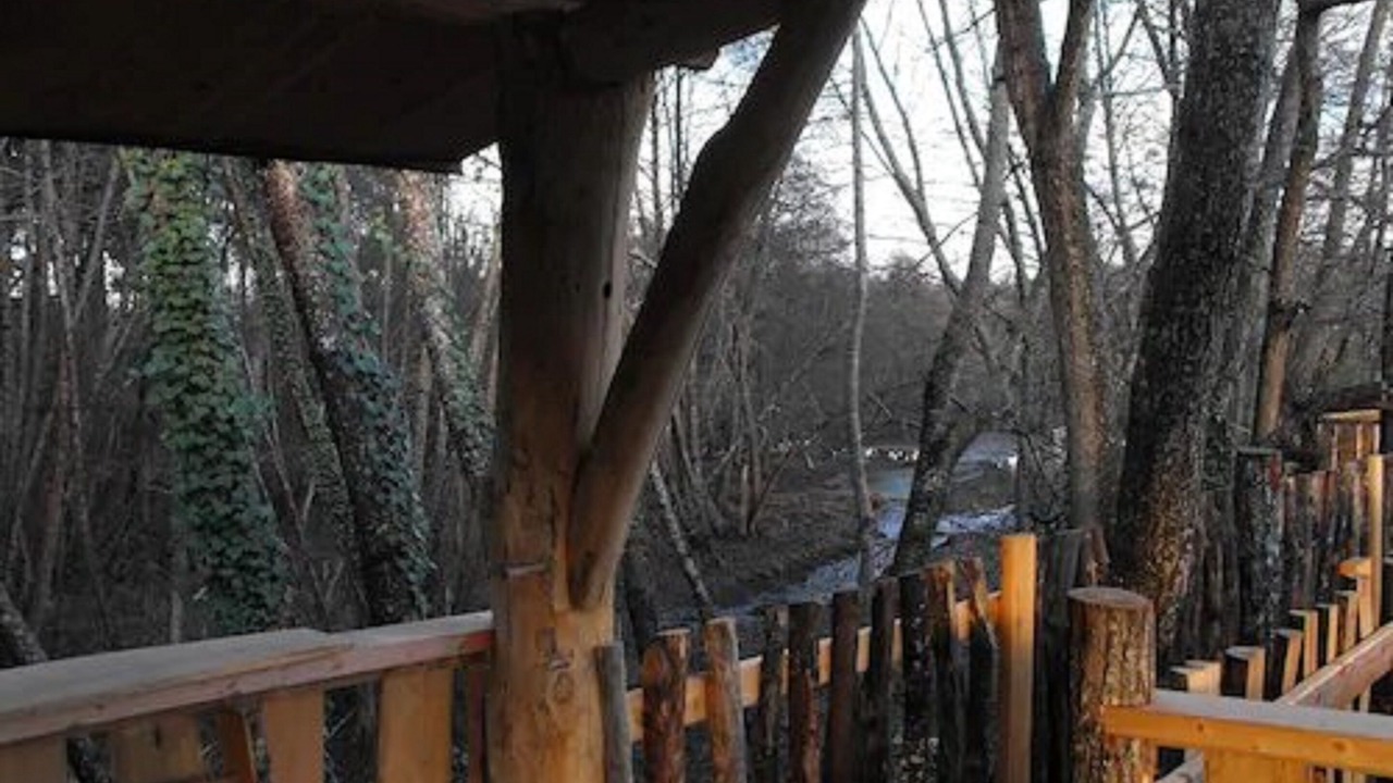 Photo of Others in Allons