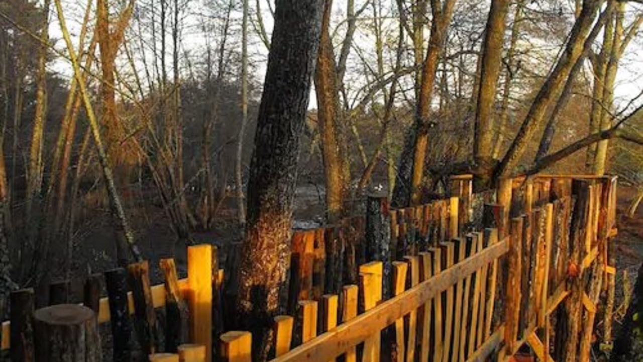 Photo of Bedroom in Allons