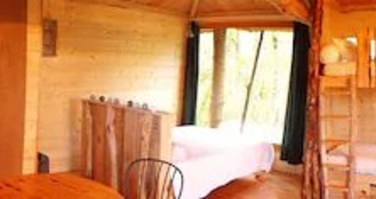 Photo of Others in Allons