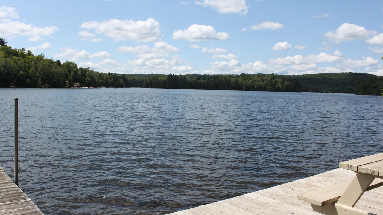Photo of Outdoor in Harcourt
