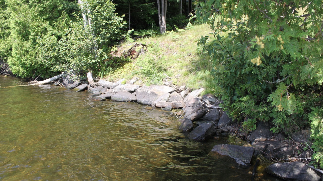 Photo of Outdoor in Harcourt