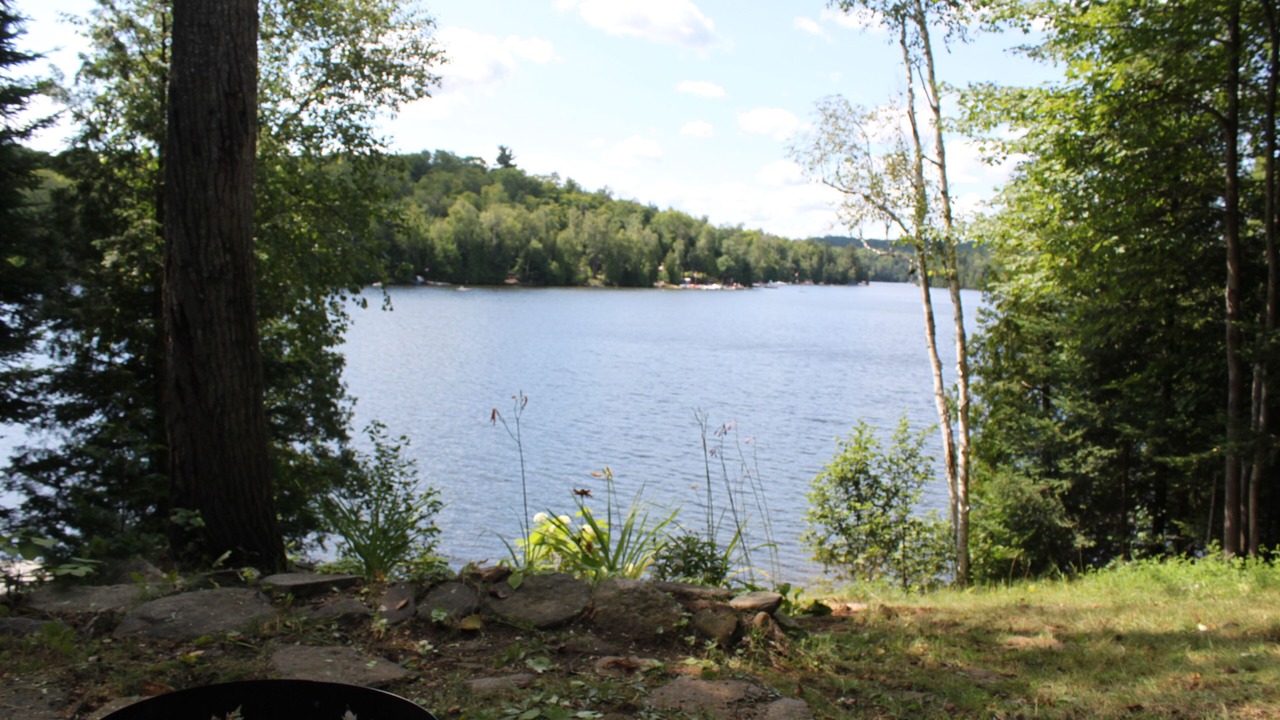 Photo of Outdoor in Harcourt