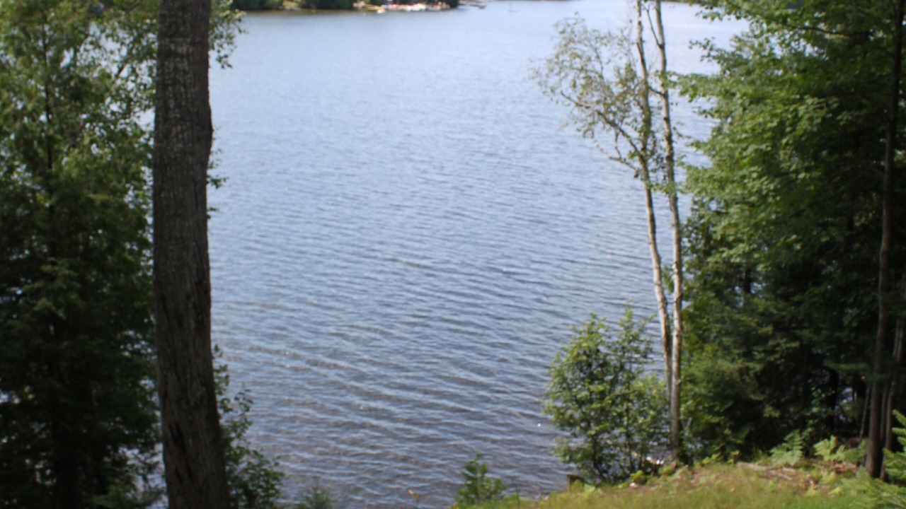 Photo of Outdoor in Harcourt
