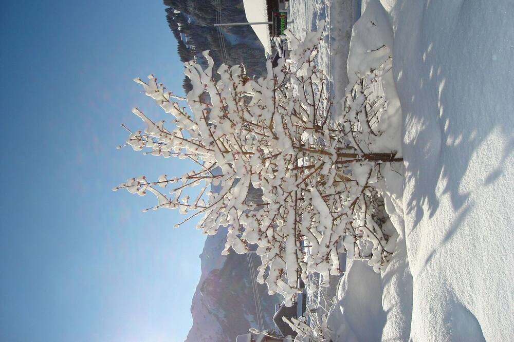 Photo of Others in Lenk