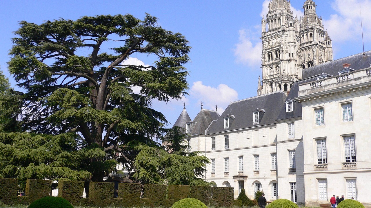 Photo of Others in Esvres