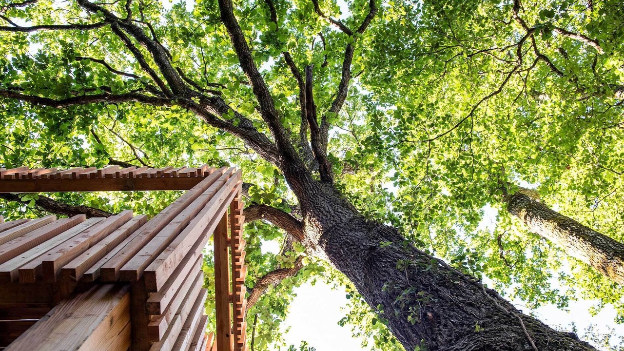 Photo of Bedroom in Esvres