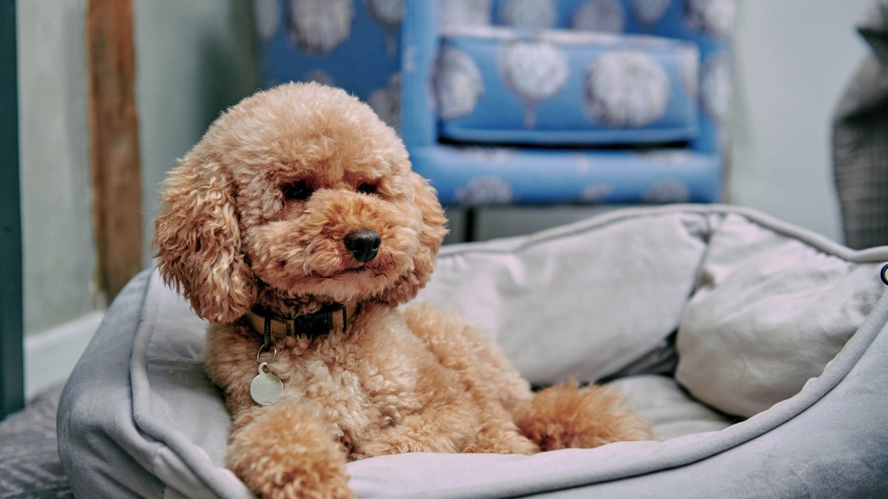 Photo of Bedroom in Eashing