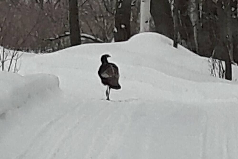 Photo of Others in Saint-Samuel