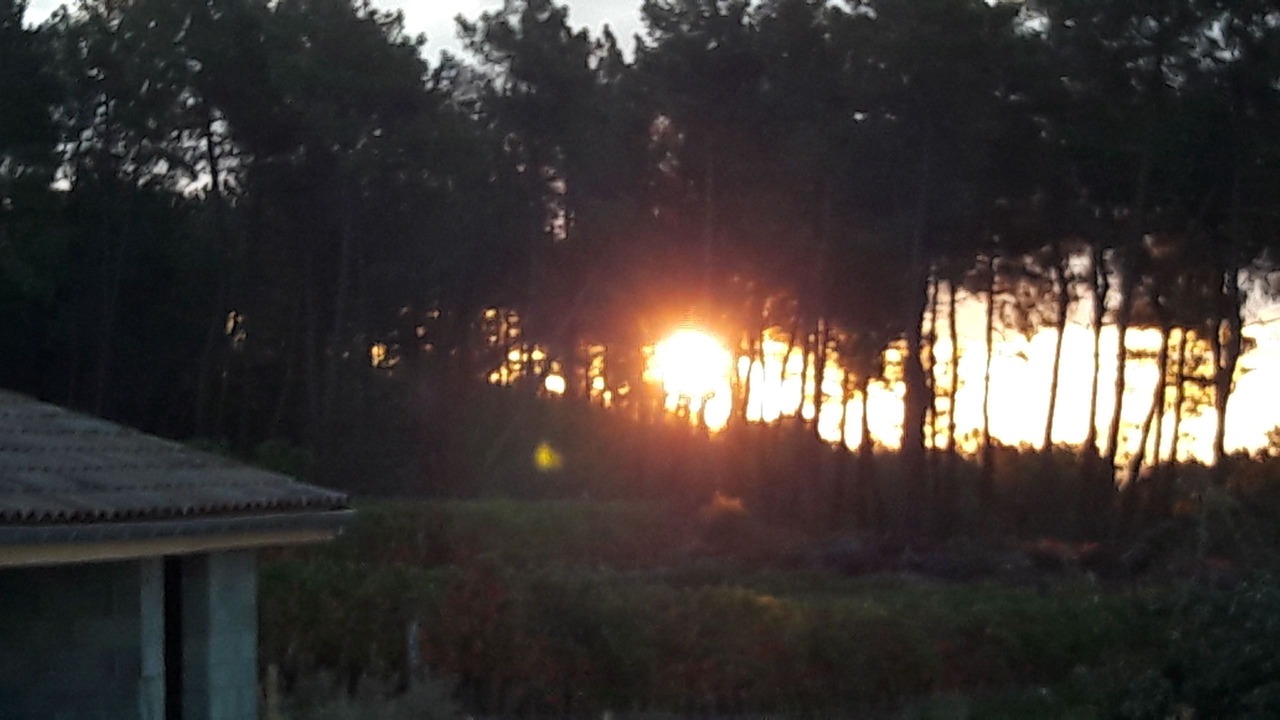 Photo of Outdoor in Vernon
