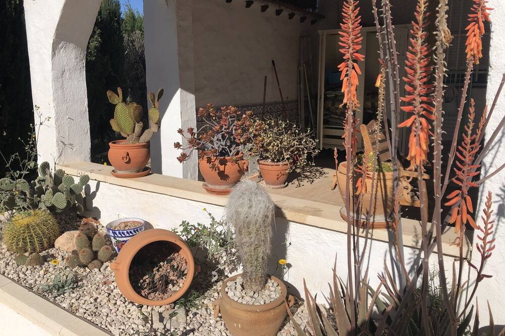 Photo of Outdoor in Los Vives