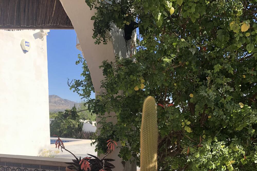 Photo of Outdoor in Los Vives