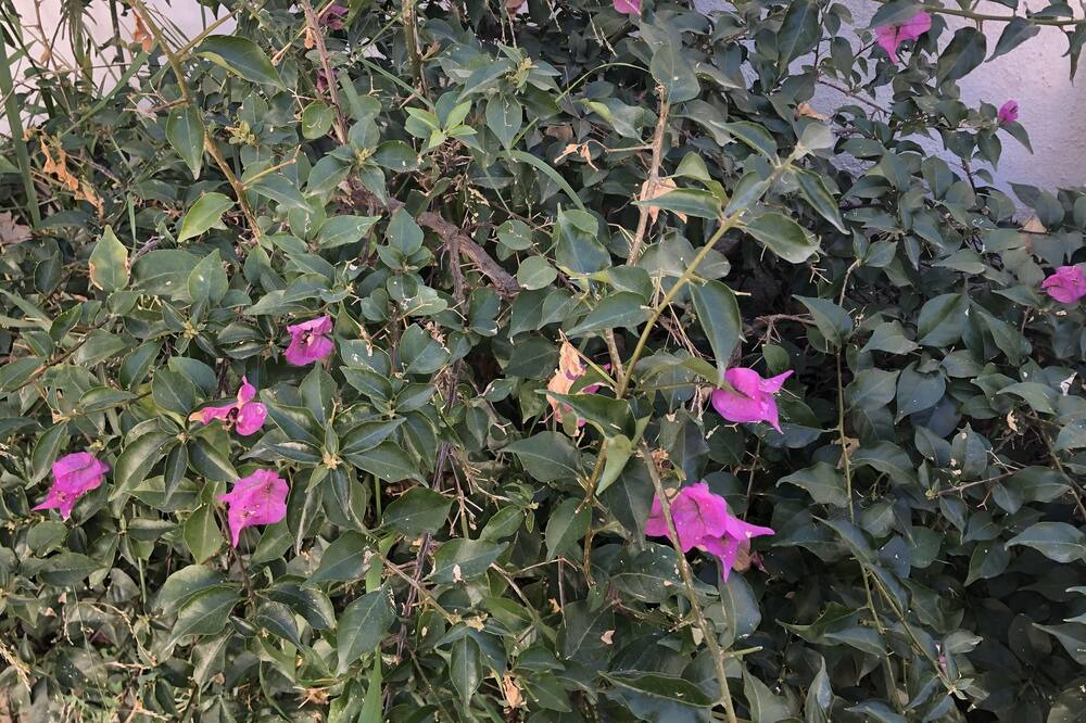Photo of Outdoor in Los Vives