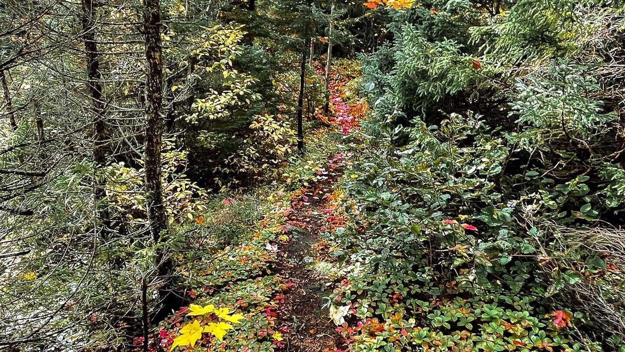 Photo of Outdoor in Ingonish