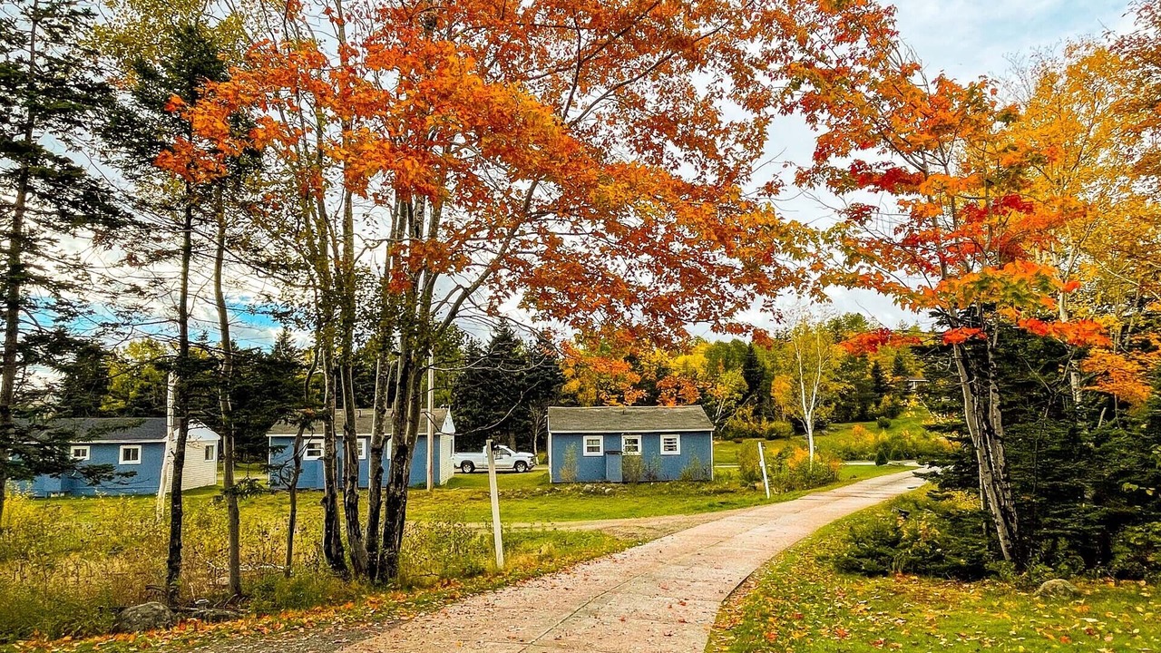 Photo of Outdoor in Ingonish