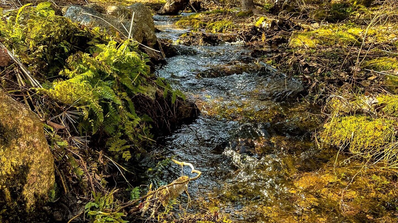 Photo of Outdoor in Ingonish