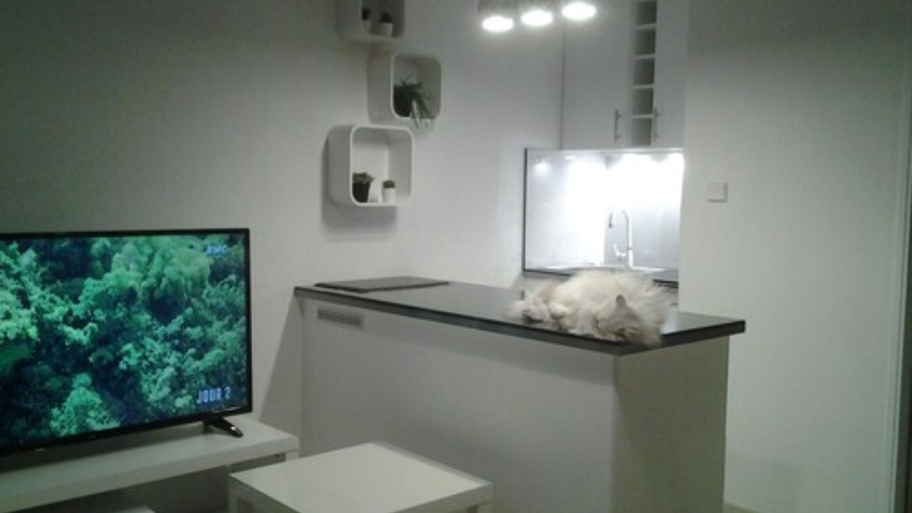 Photo of Others in Tamaris