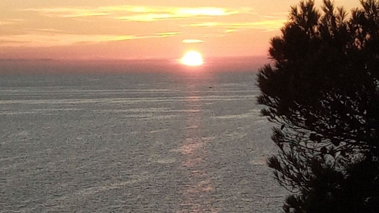 Photo of Outdoor in Tamaris