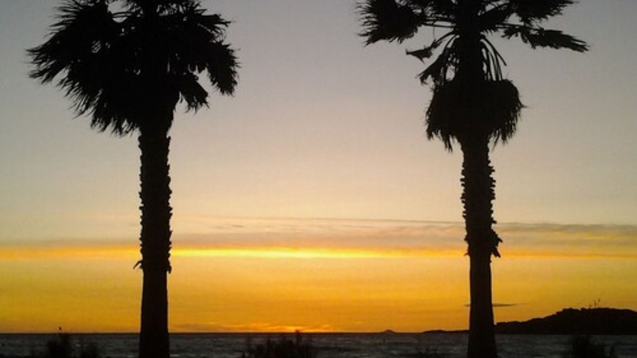 Photo of Outdoor in Tamaris