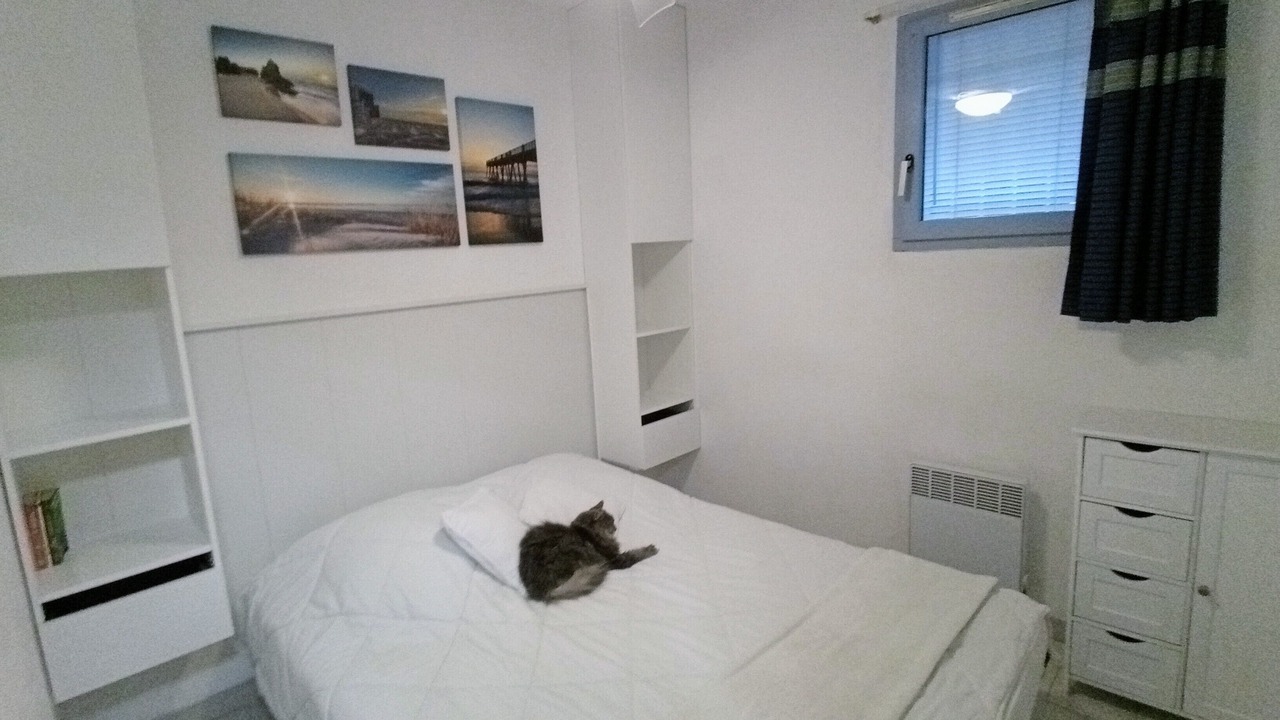 Photo of Others in Tamaris