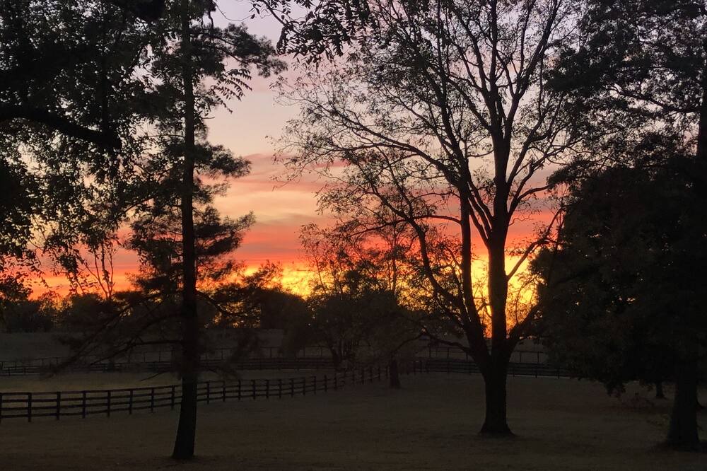 Photo of Outdoor in Lexington