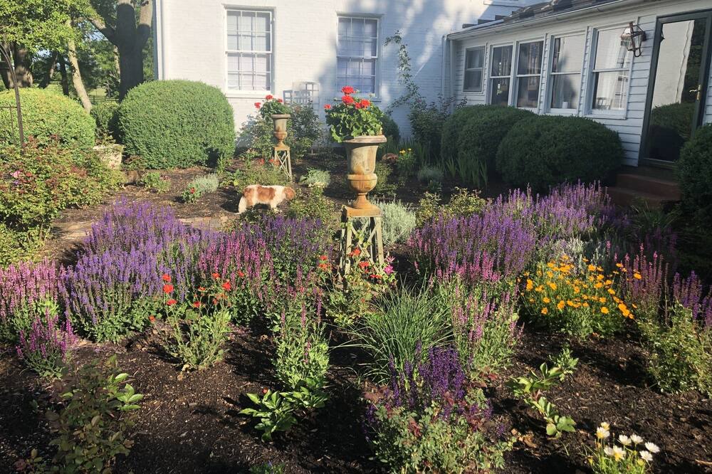 Photo of Outdoor in Lexington