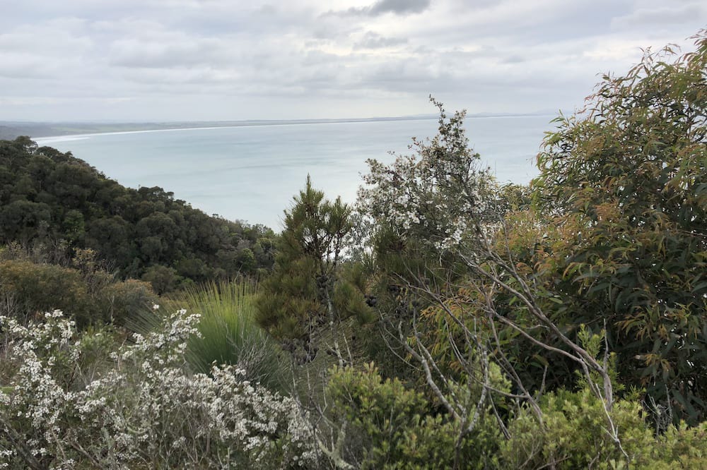 Photo of Others in Walkerville