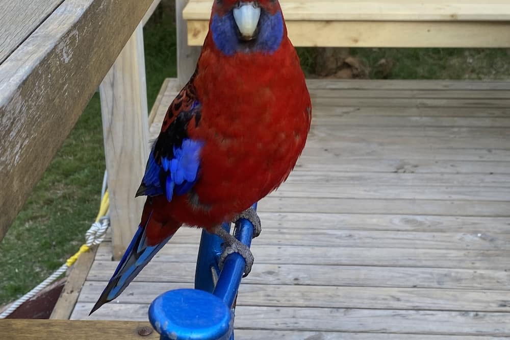 Photo of Outdoor in Walkerville