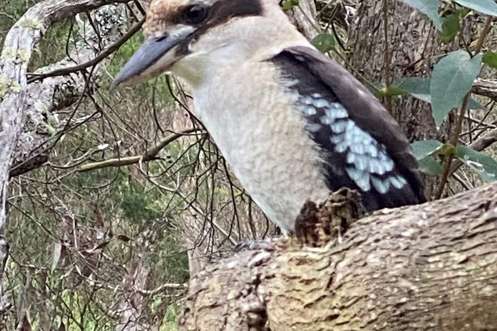 Photo of Outdoor in Walkerville