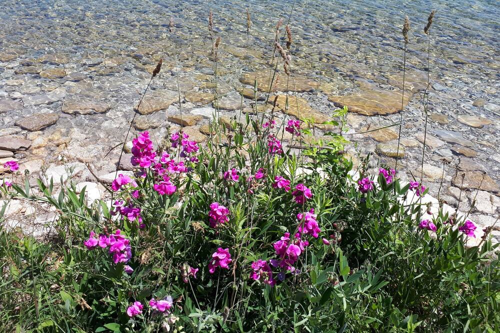 Photo of Outdoor in Miller Lake