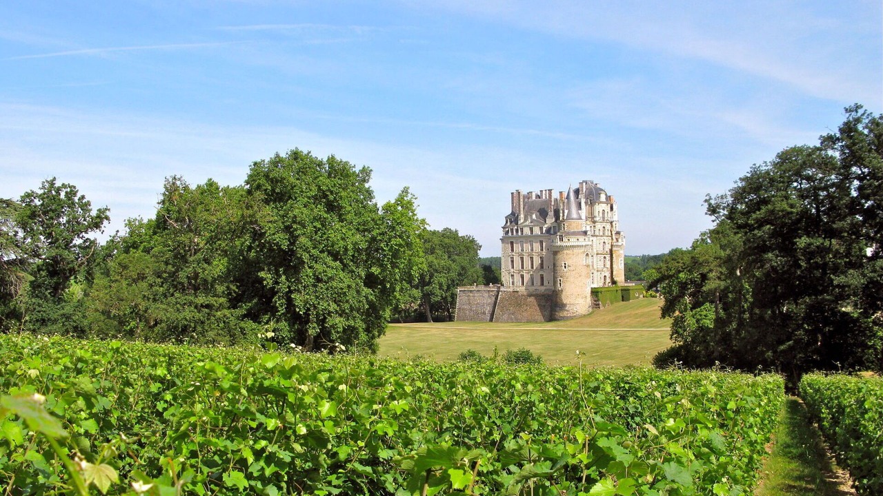 Photo of Outdoor in Chinon