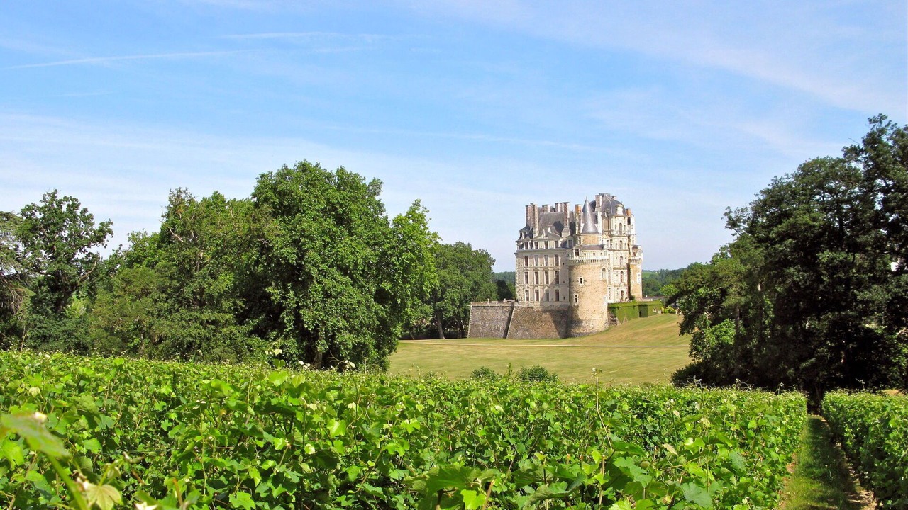 Photo of Others in Chinon