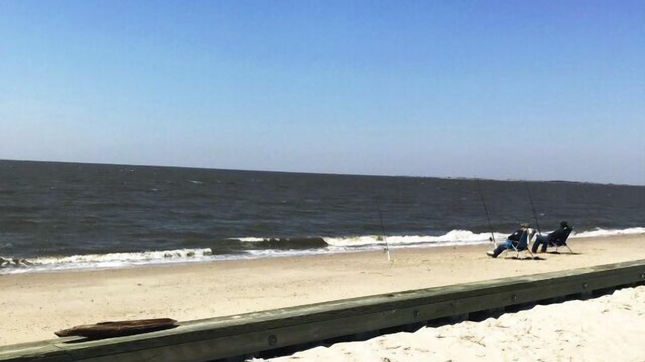 Photo of Others in Fortescue