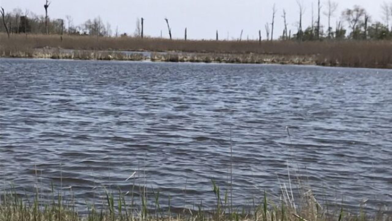 Photo of Others in Fortescue