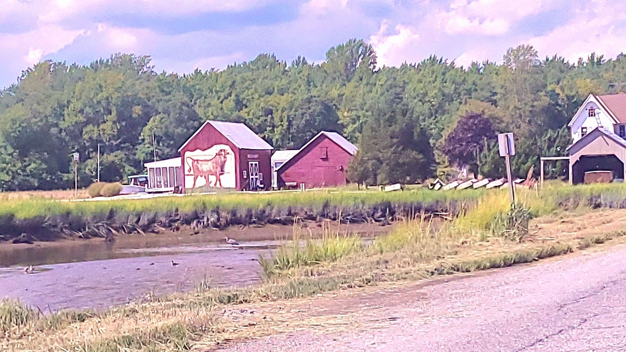 Photo of Outdoor in Fortescue