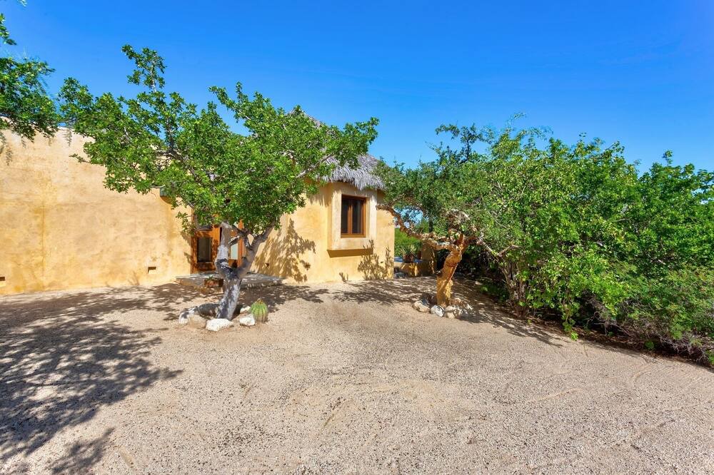 Photo of Others in El Cardonal