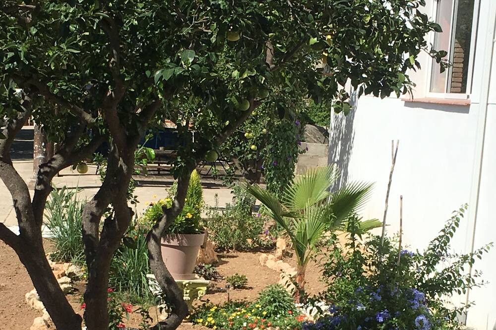 Photo of Outdoor in Montserrat