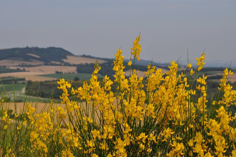 Photo of Outdoor in La Cassaigne