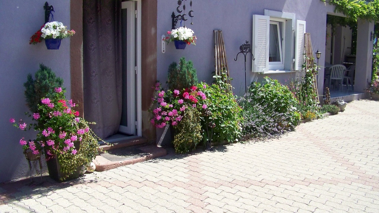 Photo of Outdoor in Bischwihr