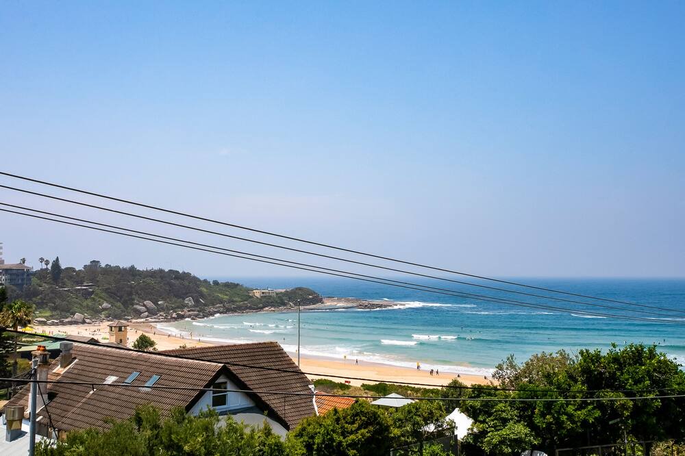 Photo of Others in Freshwater