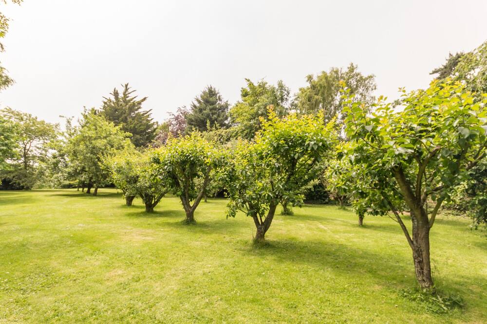 Photo of Outdoor in Bordeaux-Saint-Clair