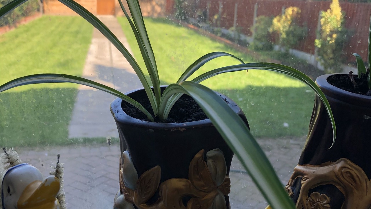 Photo of Others in Olton