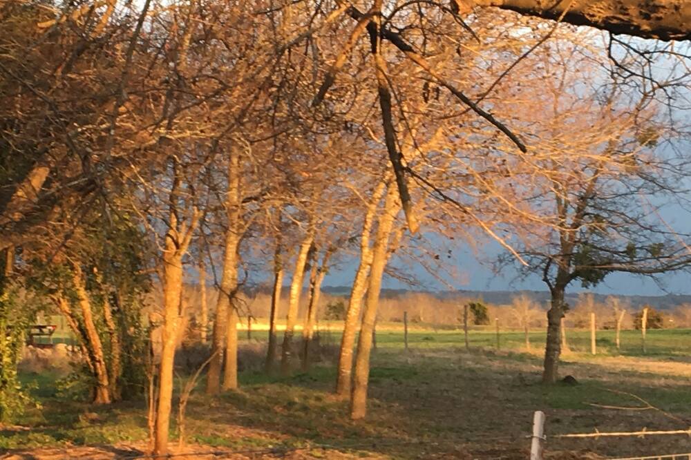 Photo of Outdoor in Perry
