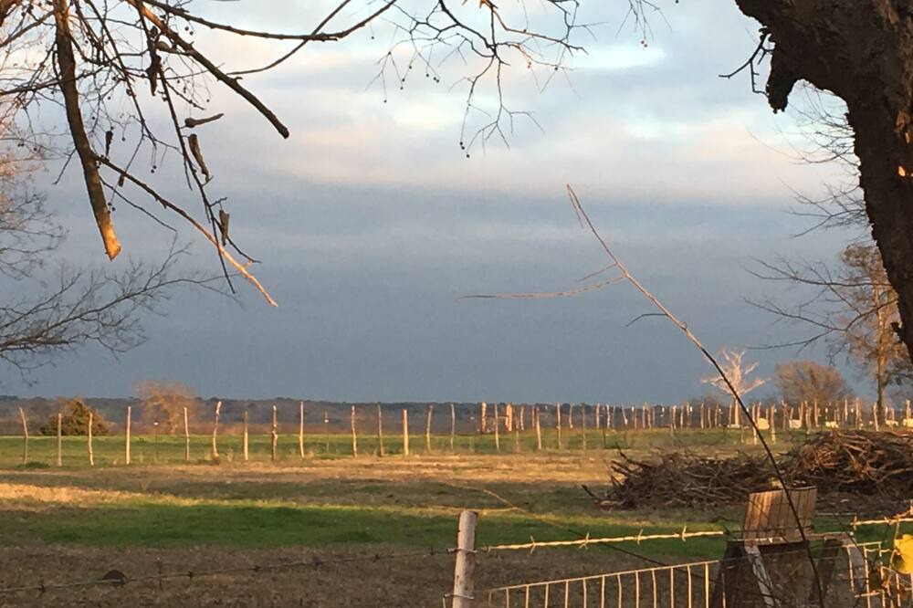 Photo of Outdoor in Perry
